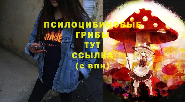 apvp Костерёво