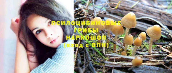 мескалин Коряжма