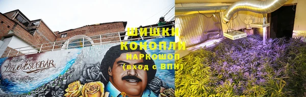 apvp Костерёво