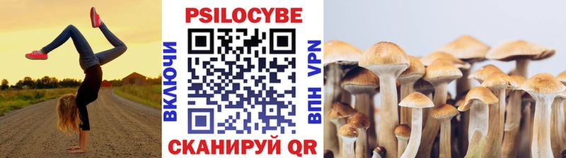 Галлюциногенные грибы ЛСД  Купить где  Черноголовка 