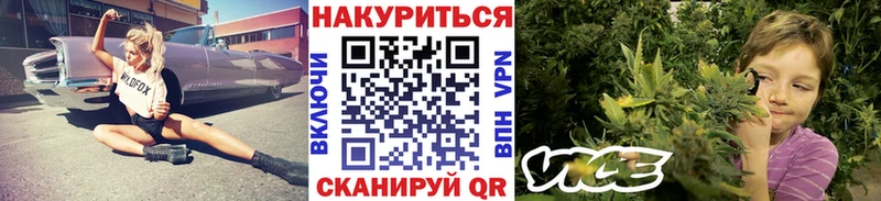 Купить закладки  Черноголовка  Канабис индика 